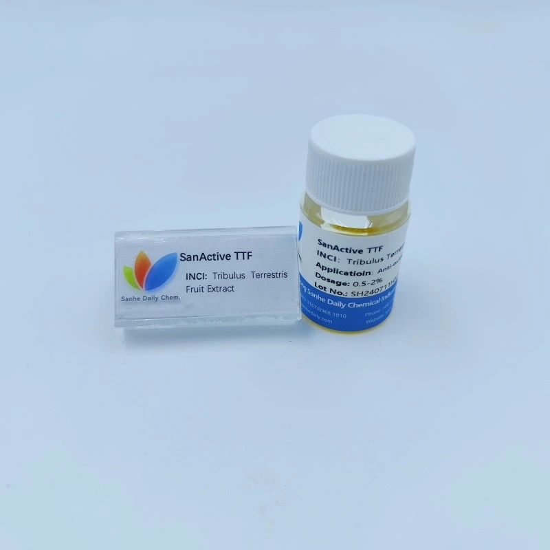 SanActive TTF (5)
